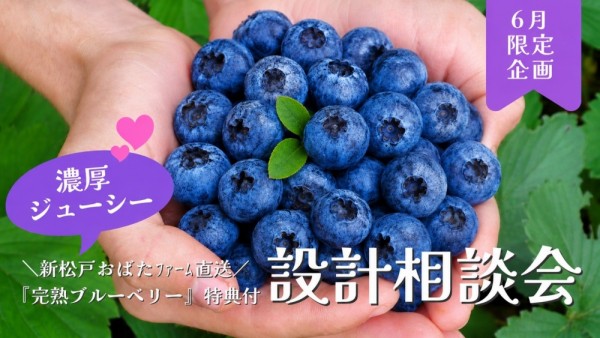➤➤ブルーベリー好き必見➤➤『完熟ブルーベリー』特典付き設計相談会