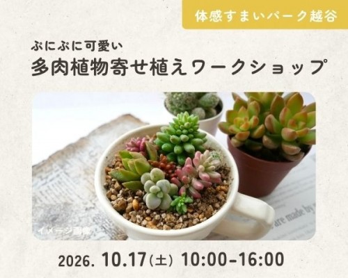 癒しの多肉植物寄せ植えワークショップ【越谷】