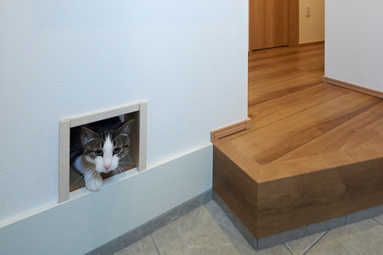 猫用玄関