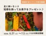 星に願いを☆彡短冊を飾ってお菓子をプレゼント♪【吉川美南】