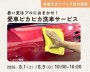 プロにおまかせ!愛車ピカピカ洗車サービス...