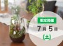 ※画像はイメージです