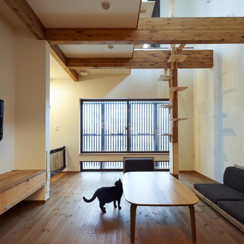 猫と暮らす和の家~和美庵~|注文住宅の建築実例・事例|ポラスグループ