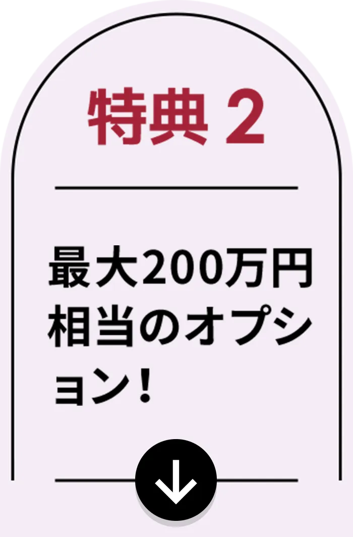 特典２ 最大200万円相当オプション！