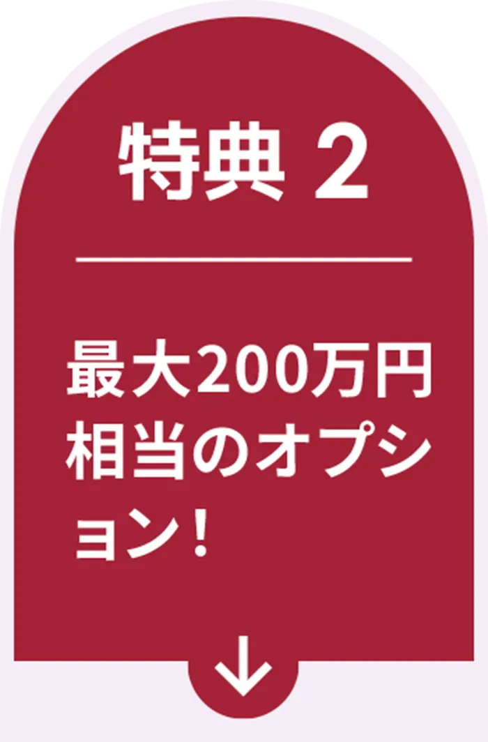 特典２ 最大200万円相当オプション！