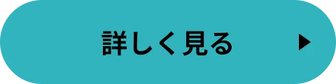 詳しくを見る