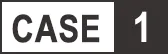case1